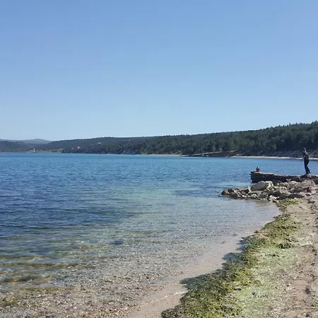 Lavande 2 *